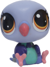 #123 Pigeon